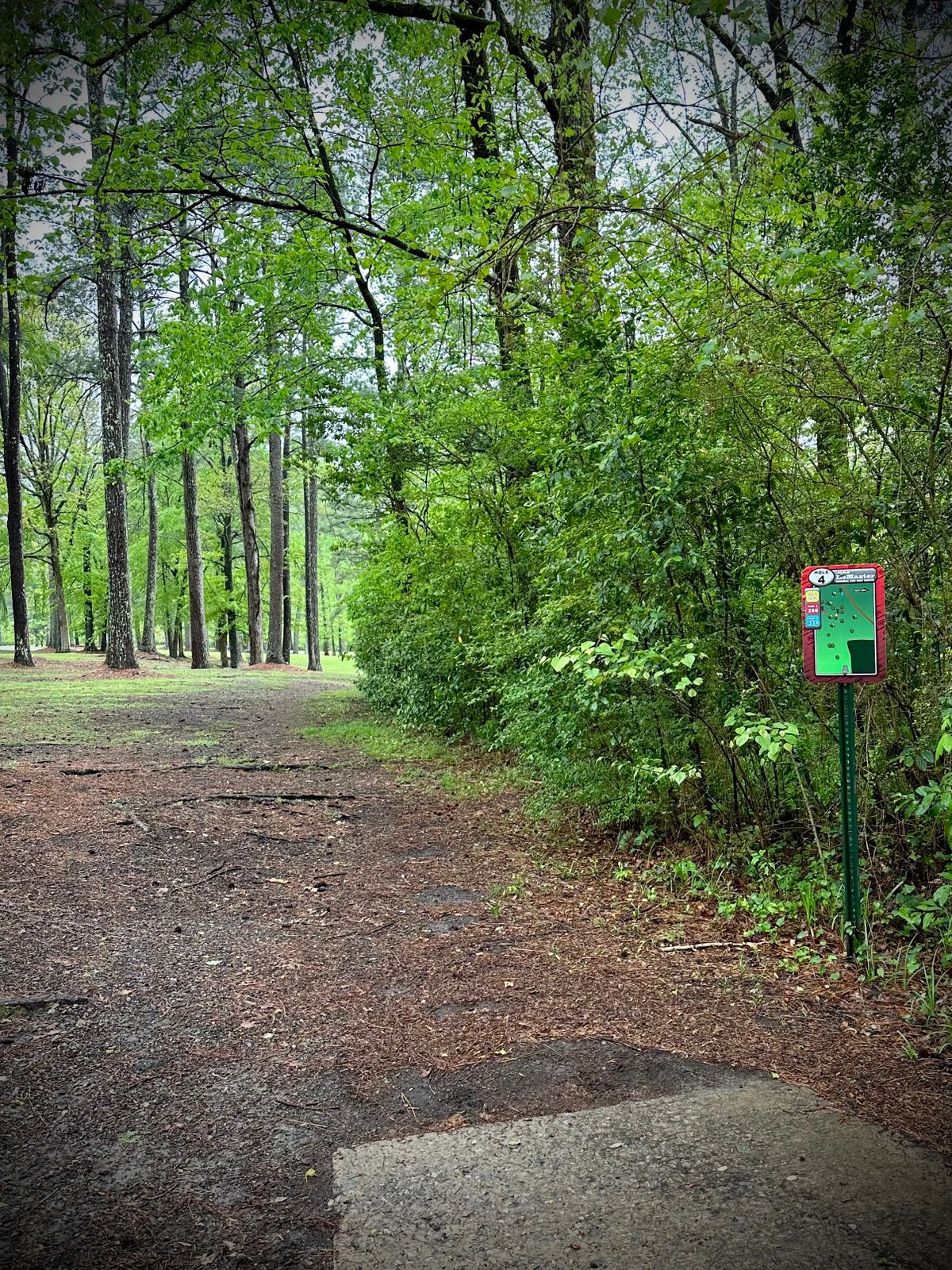 Hole 4