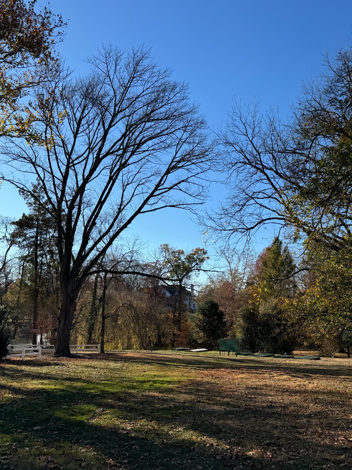 Hole 3 fairway