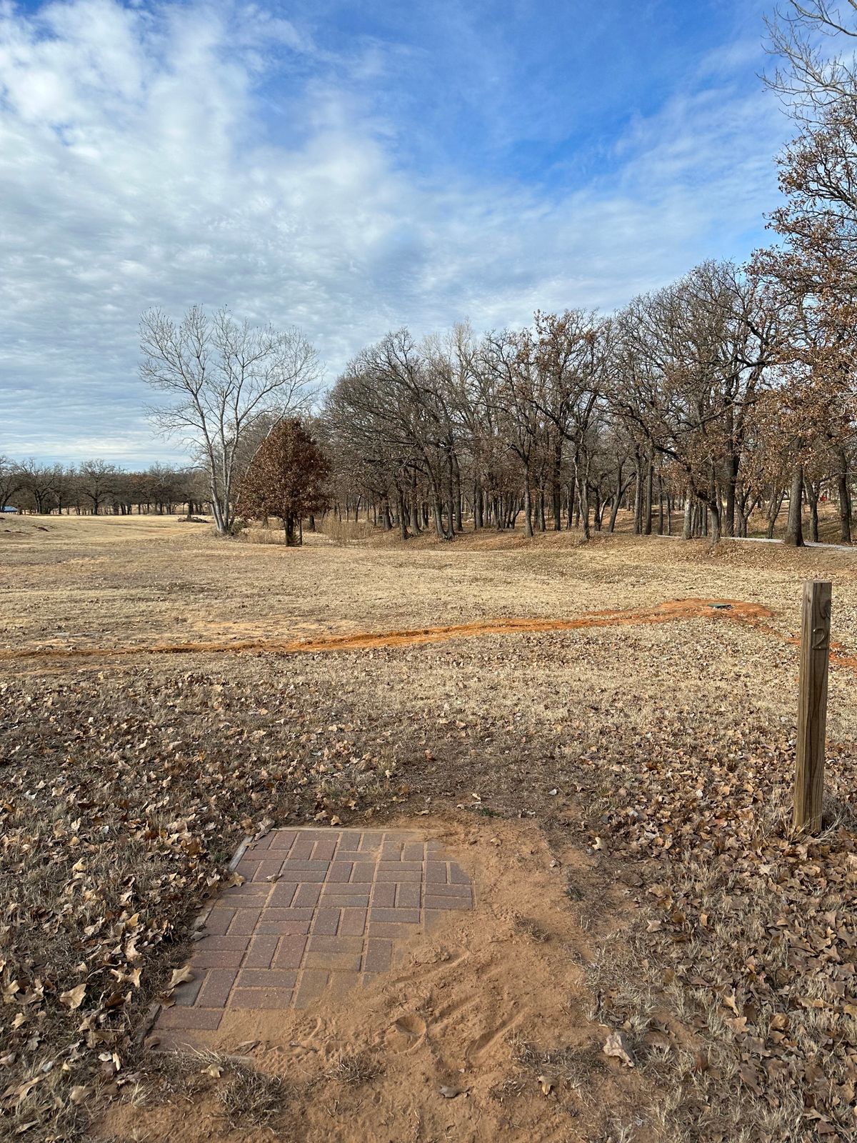 Hole 2 tee pad