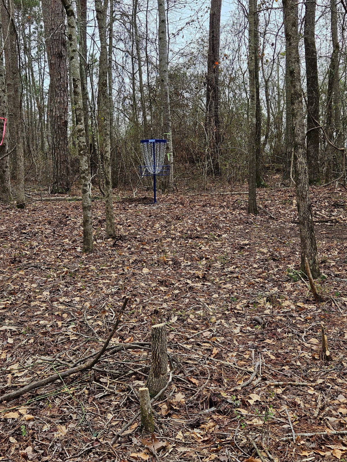 2nd shot of hole 3.