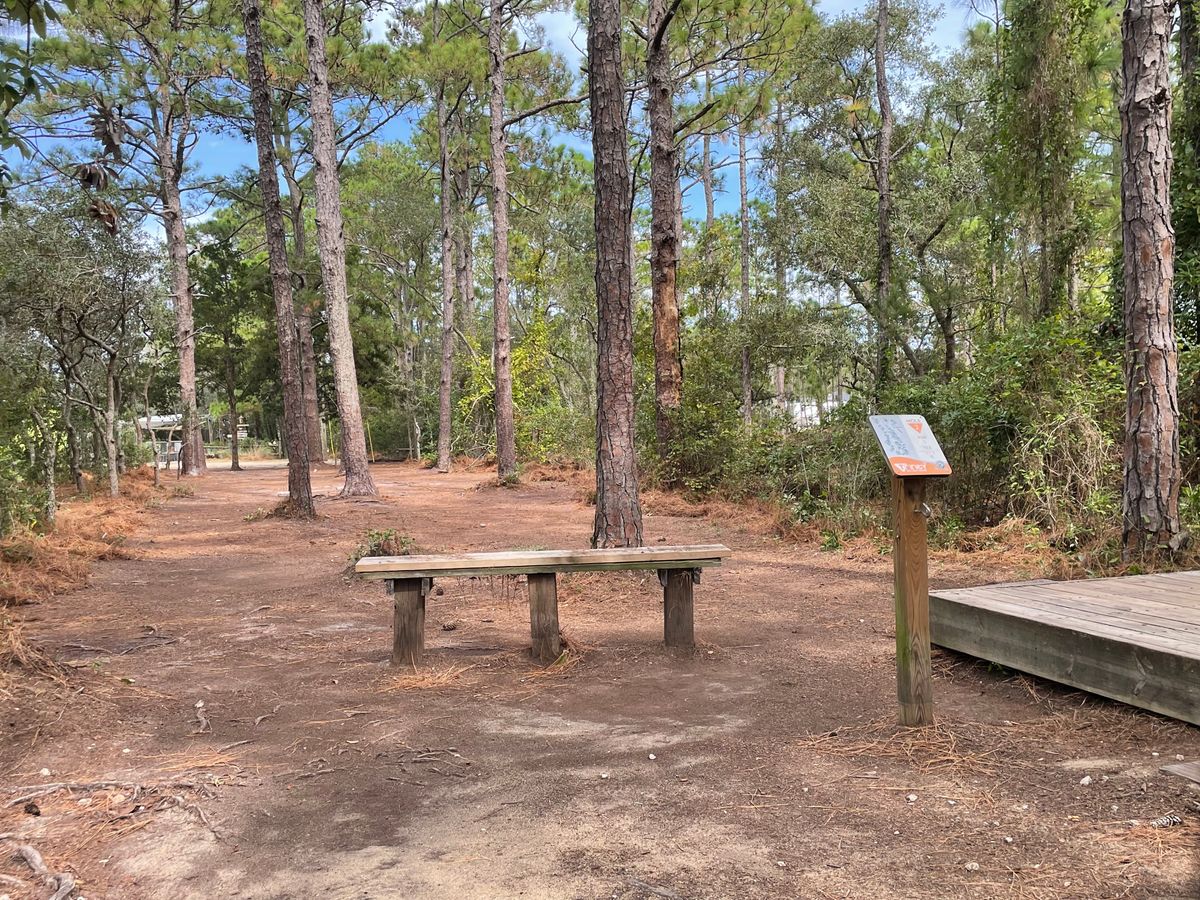 Hole 2