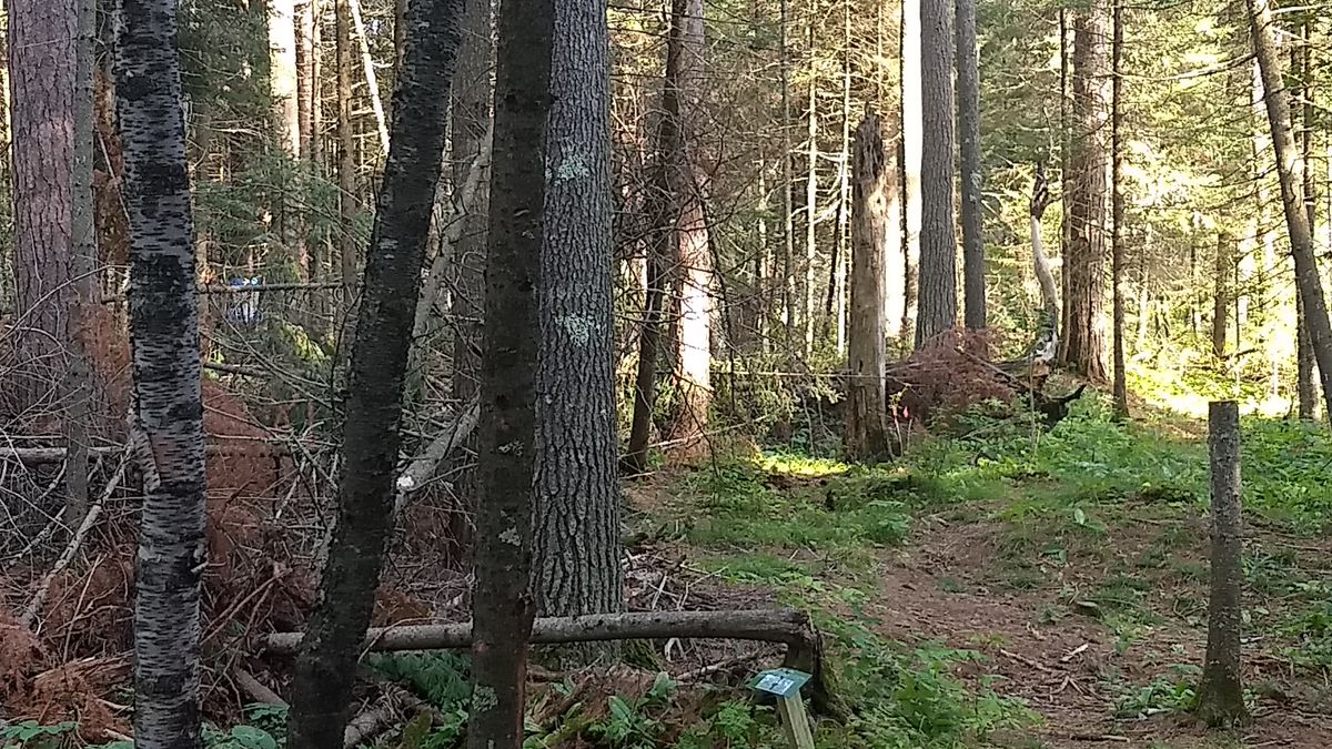 Hole 3