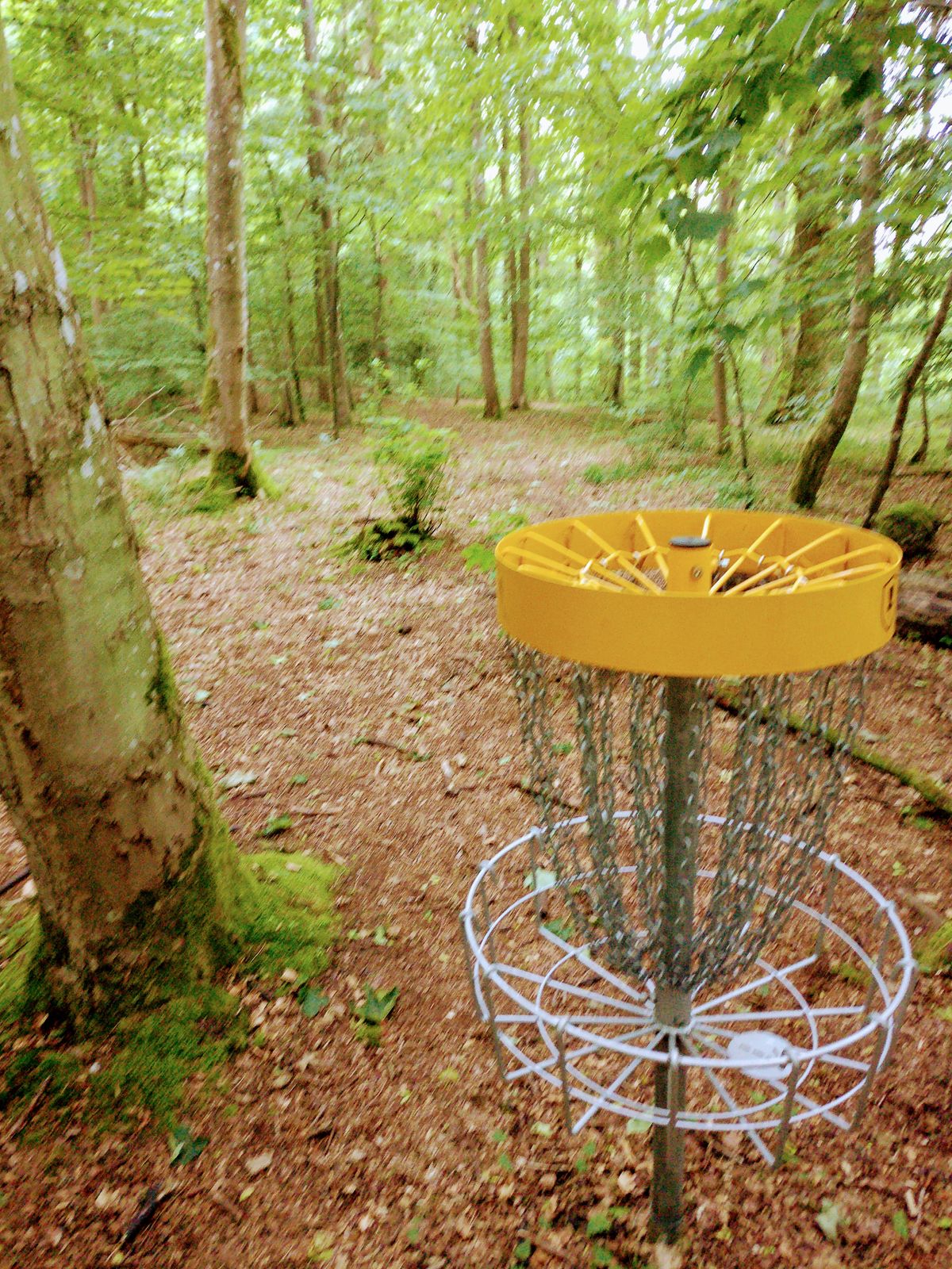 Hole 7
