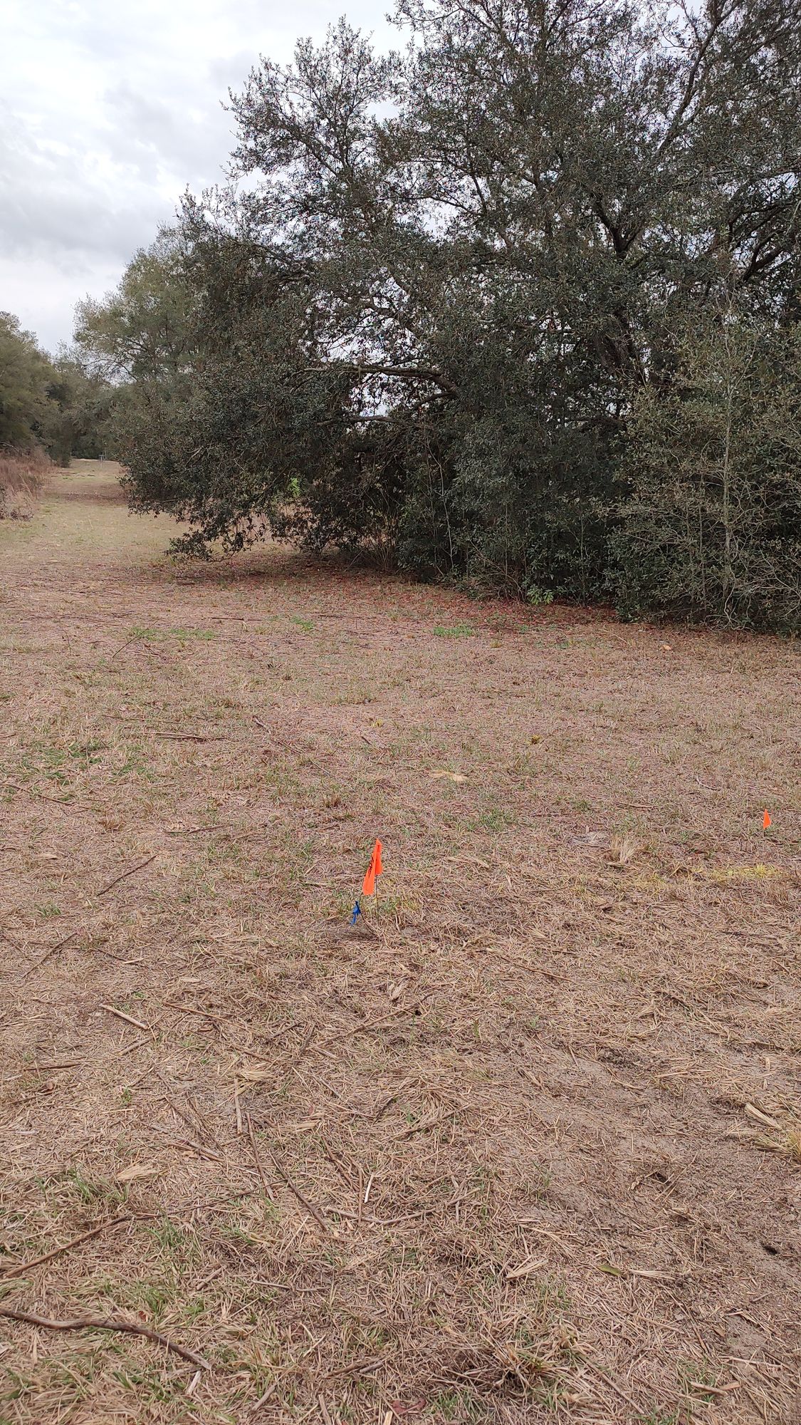 original Hole 13