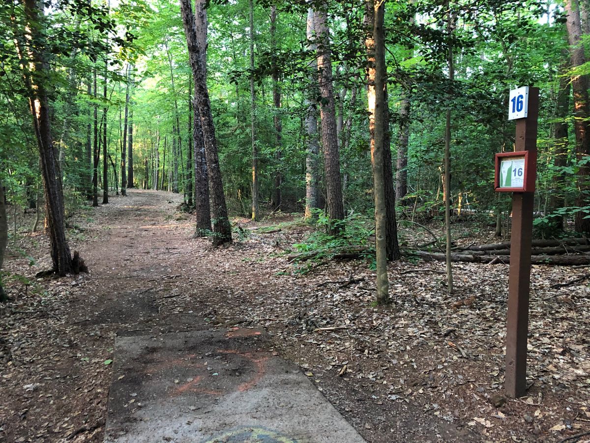 Hole 16 Launch Pad