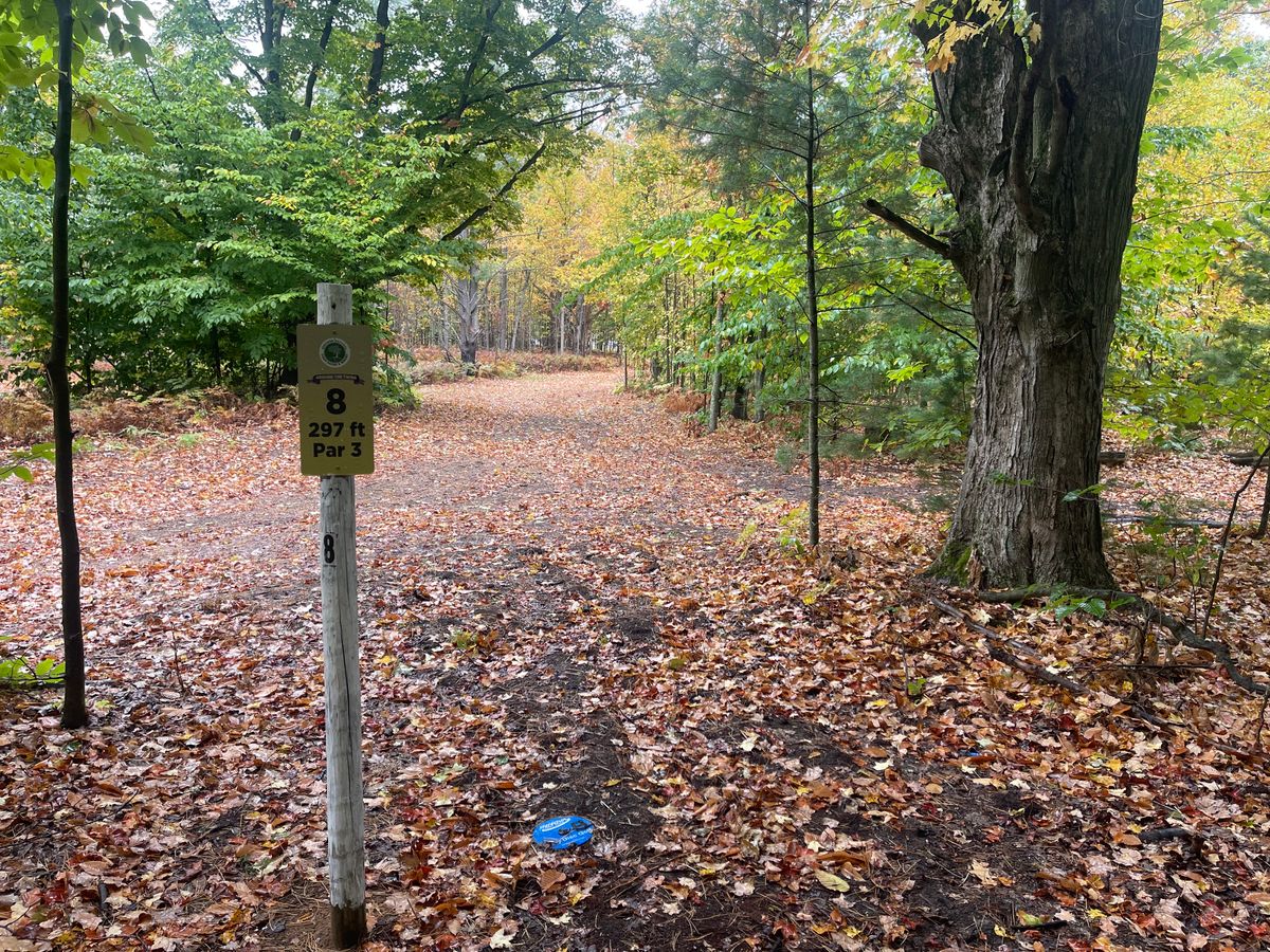 Tee pad 8