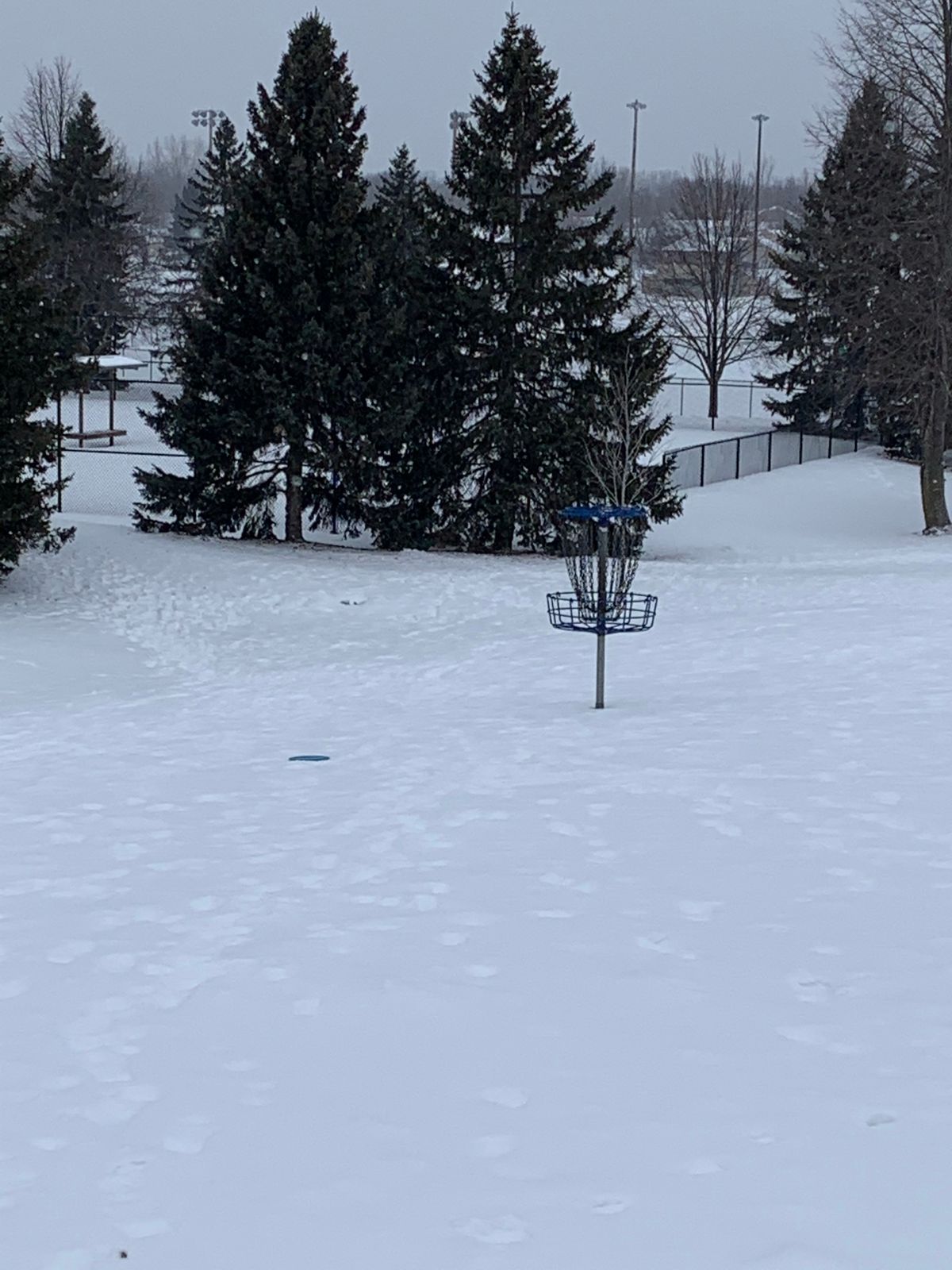 Birdie line up on hole 7