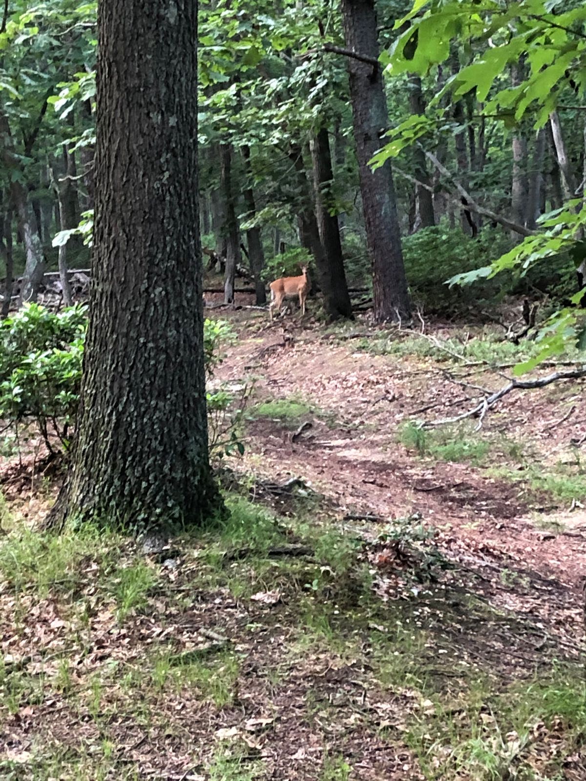 Spectator on right side of 16