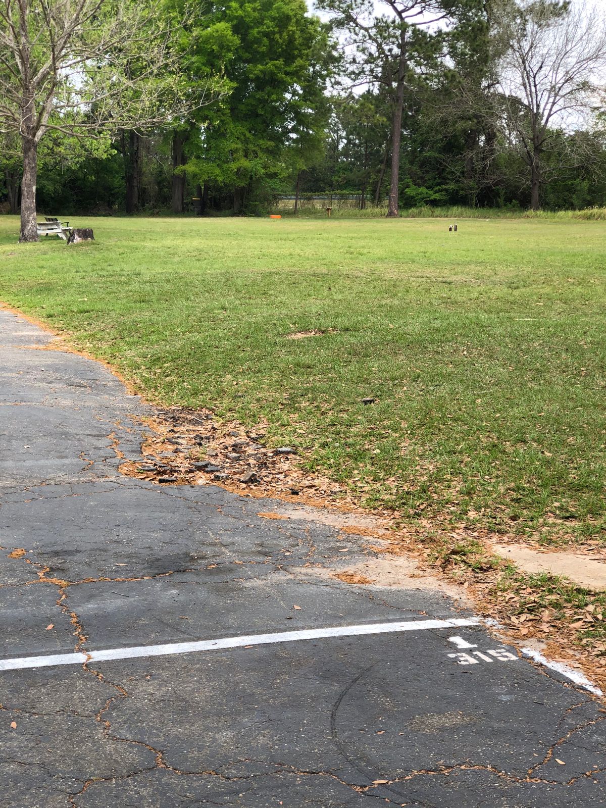 Hole 1, tee to basket
