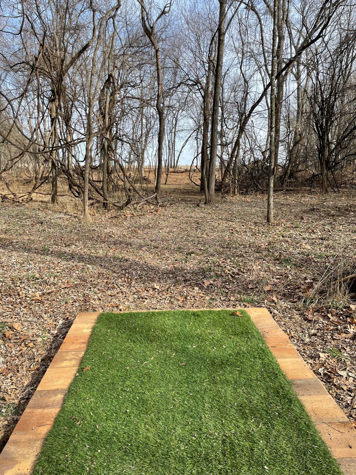 Hole 6 Tee