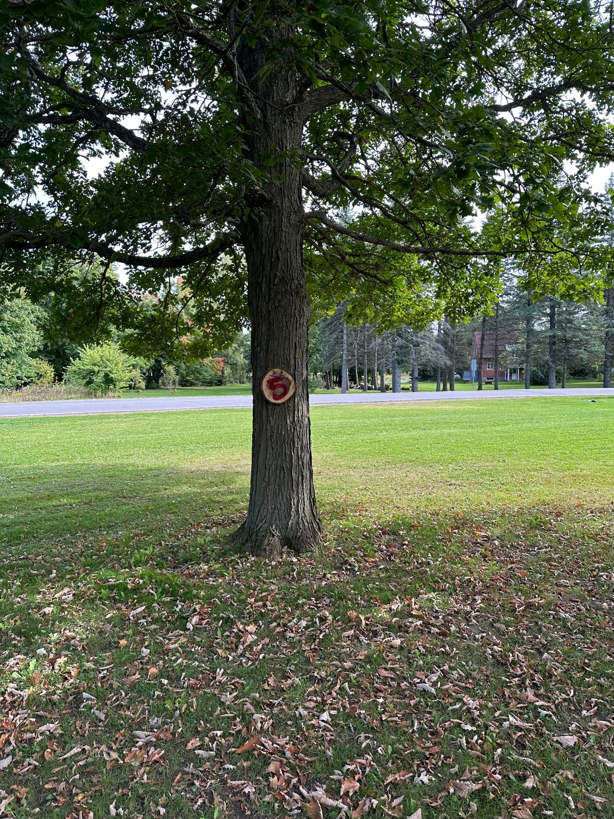 Hole 5