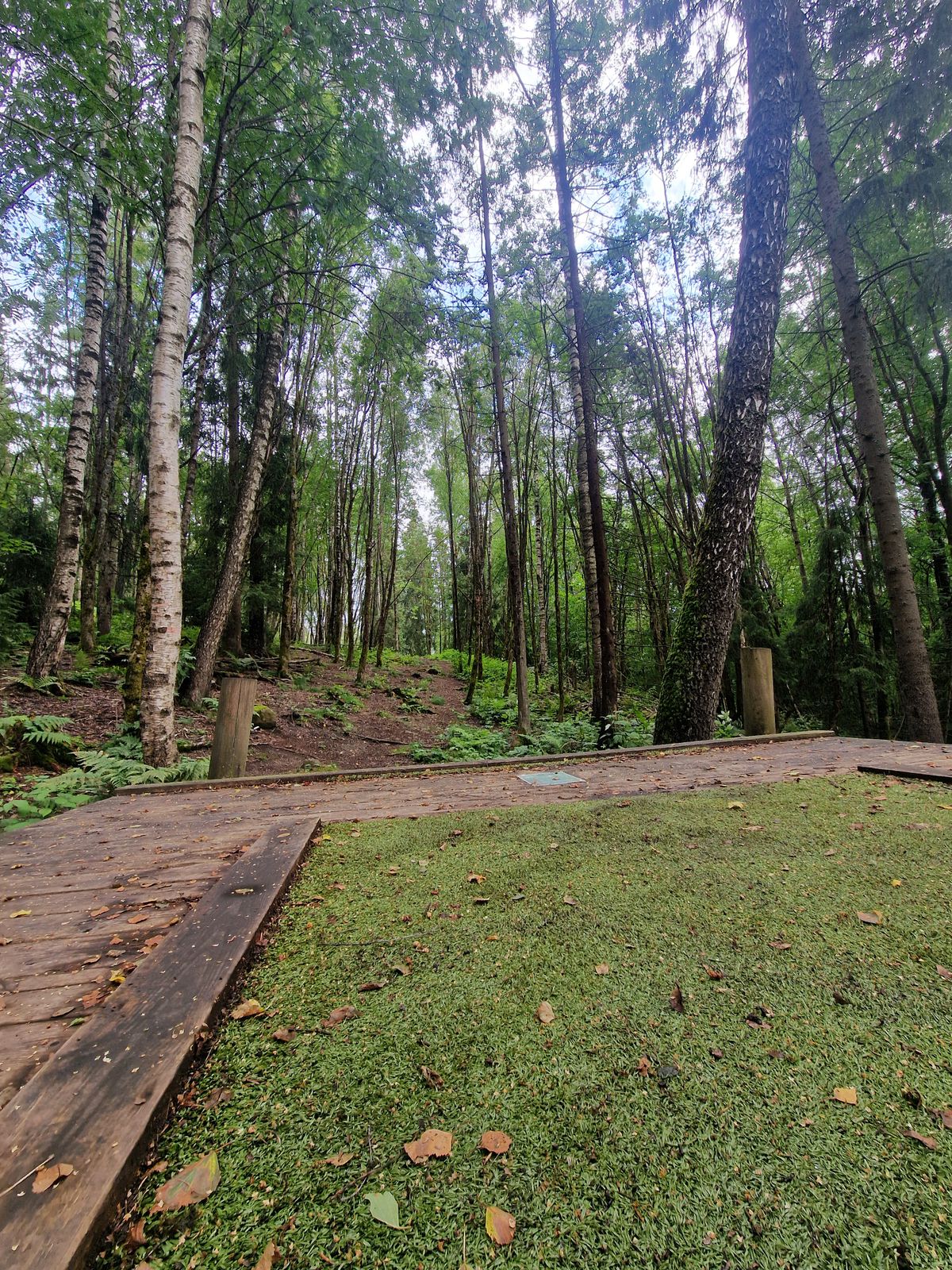 Hole 8's teepad, demanding par 4.