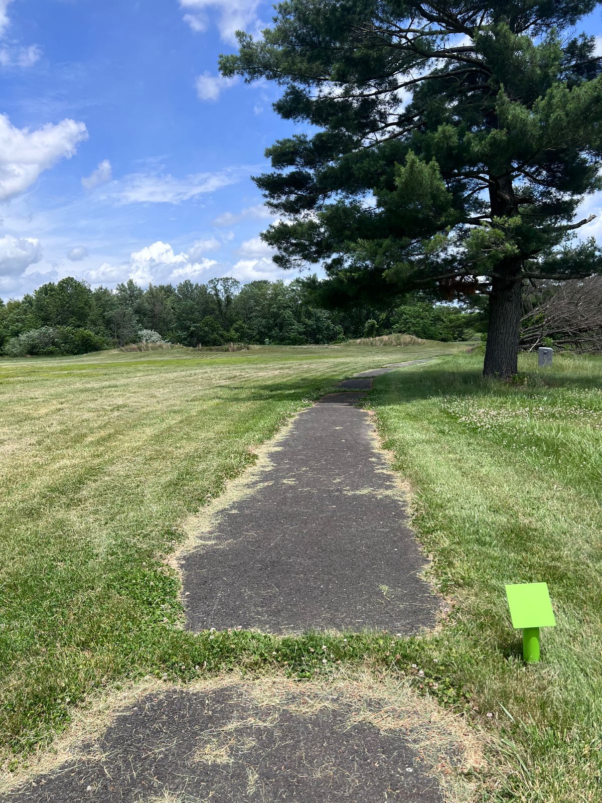 Hole 5 tee