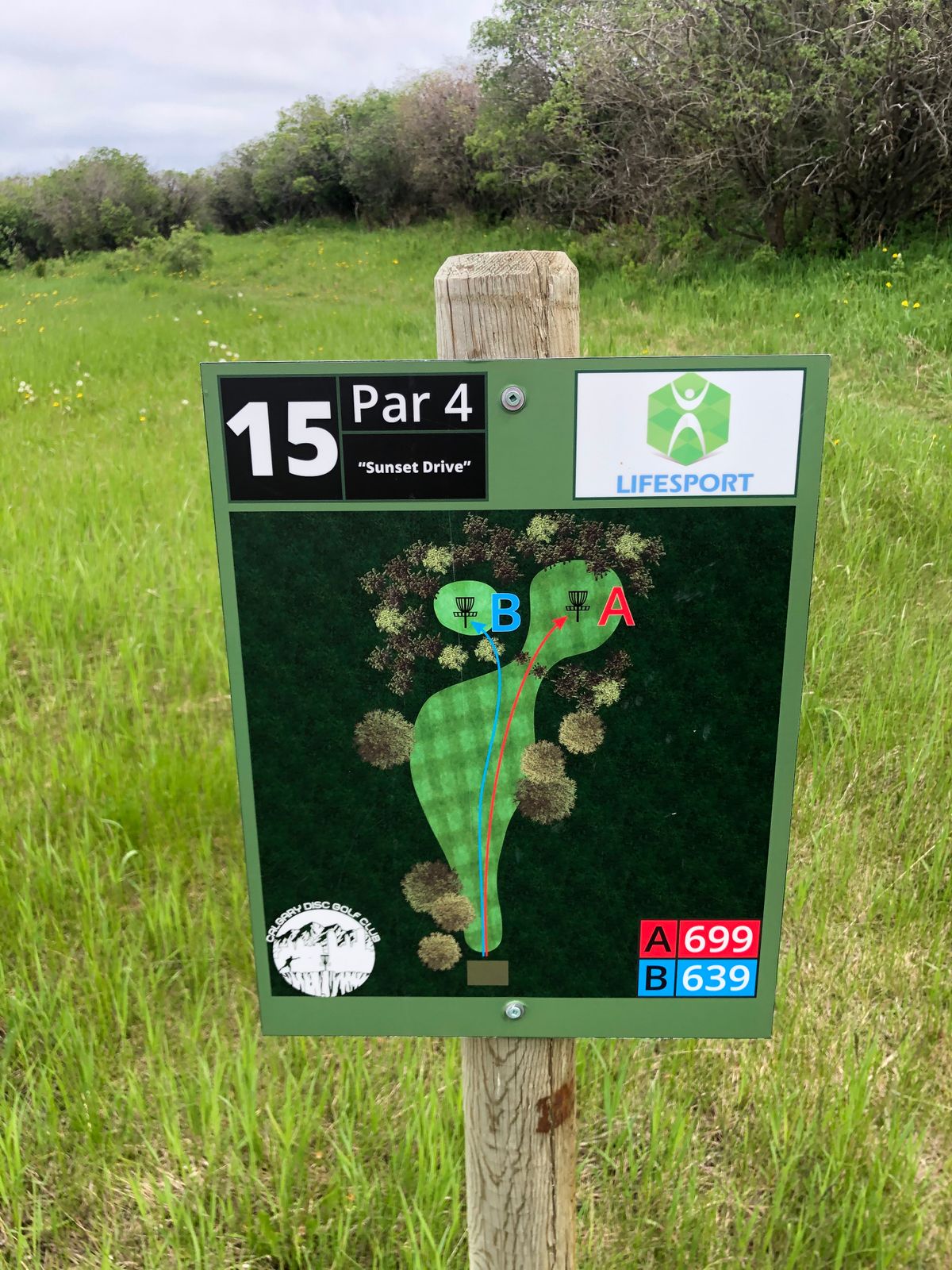 Tee sign hole 15