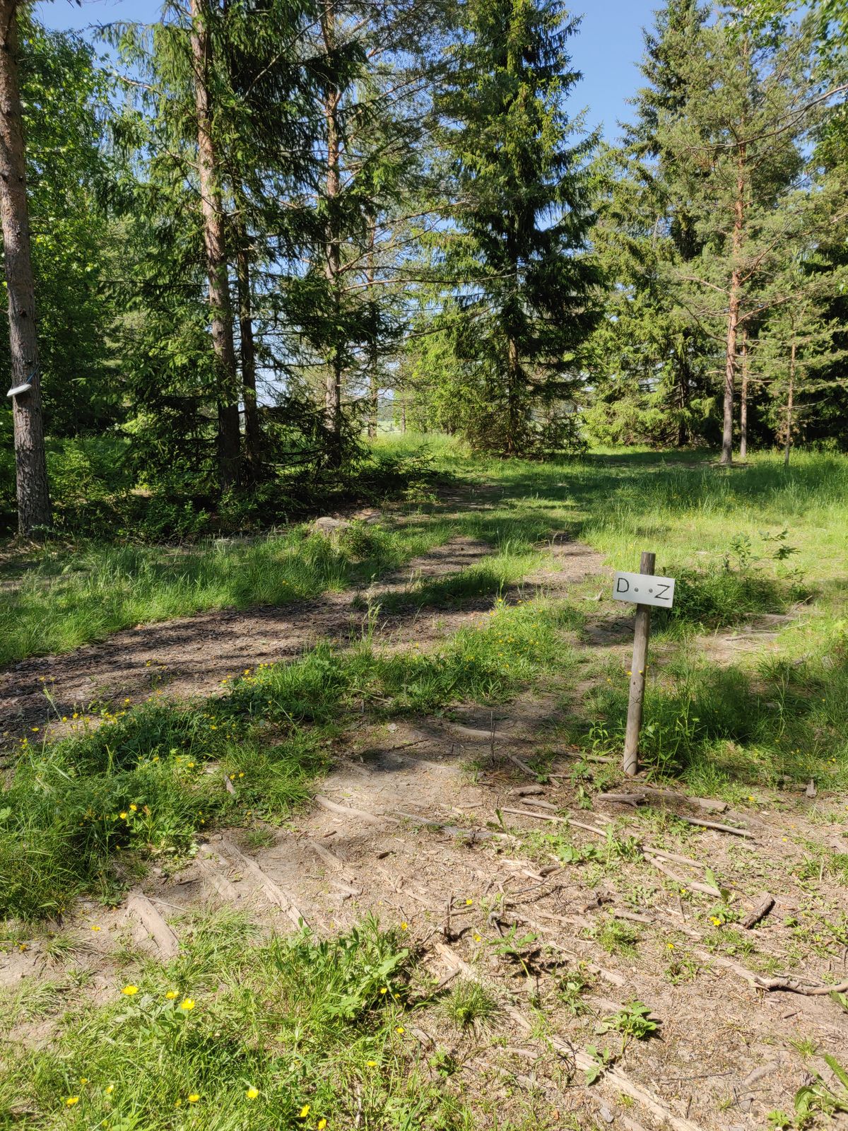 Väylä 7 lisäkuva jonka sovellus taas pakolla kääntää, kuvassa vasemmalla mando, vasemmalla dropzone, kori puiden takana 25-30 metriä