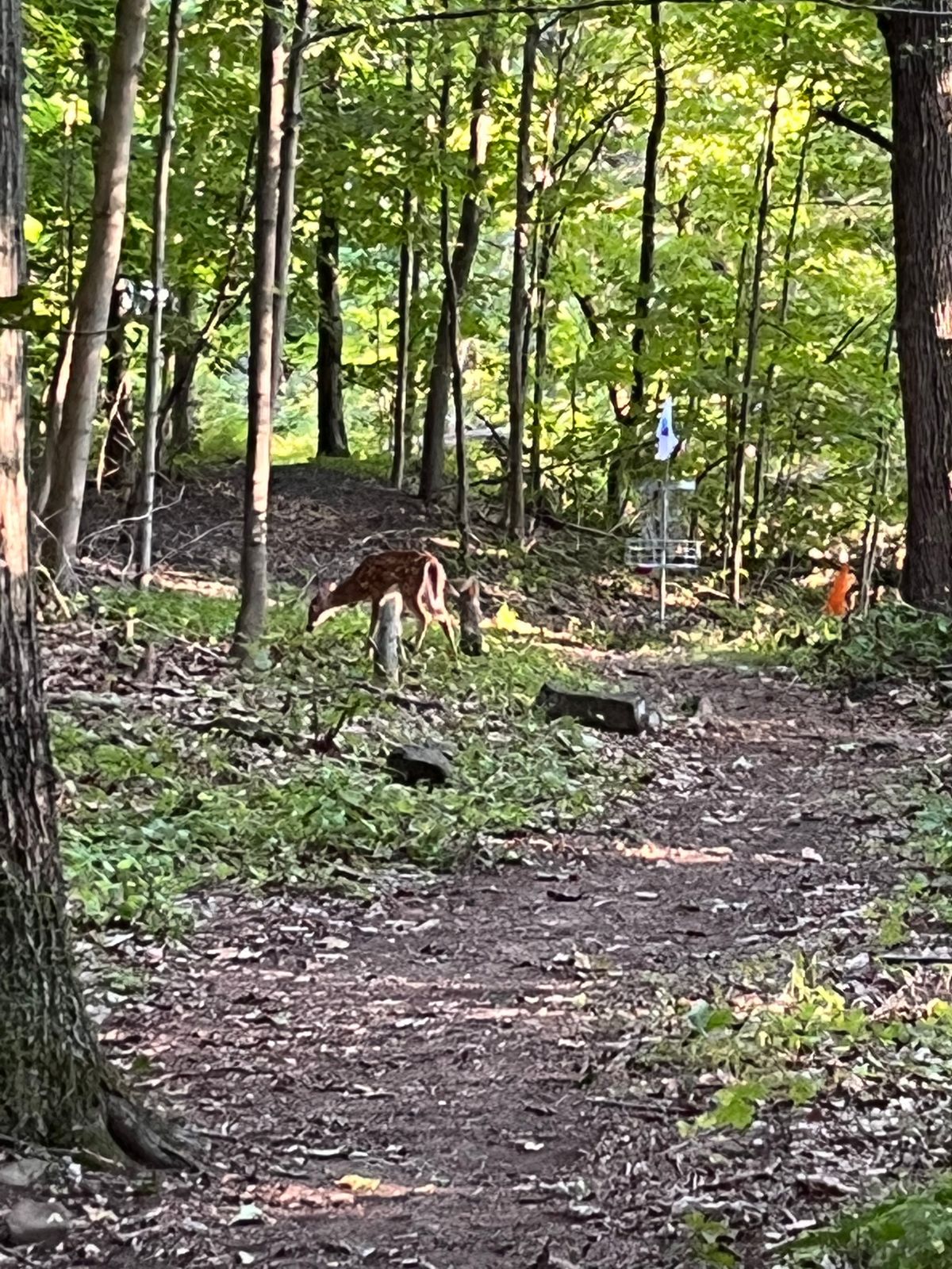 Watch out for the competition!