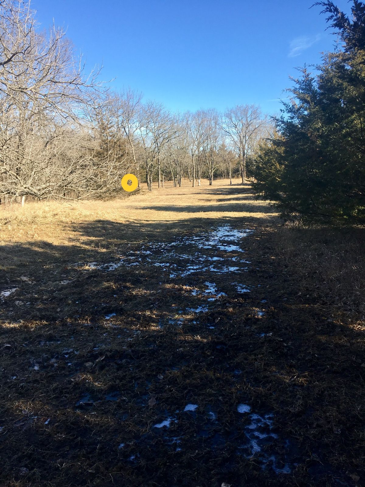 Hole 4 Tee