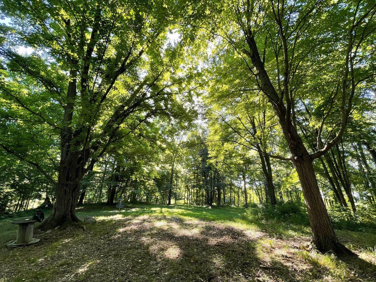 Nice area to relax after the front 9