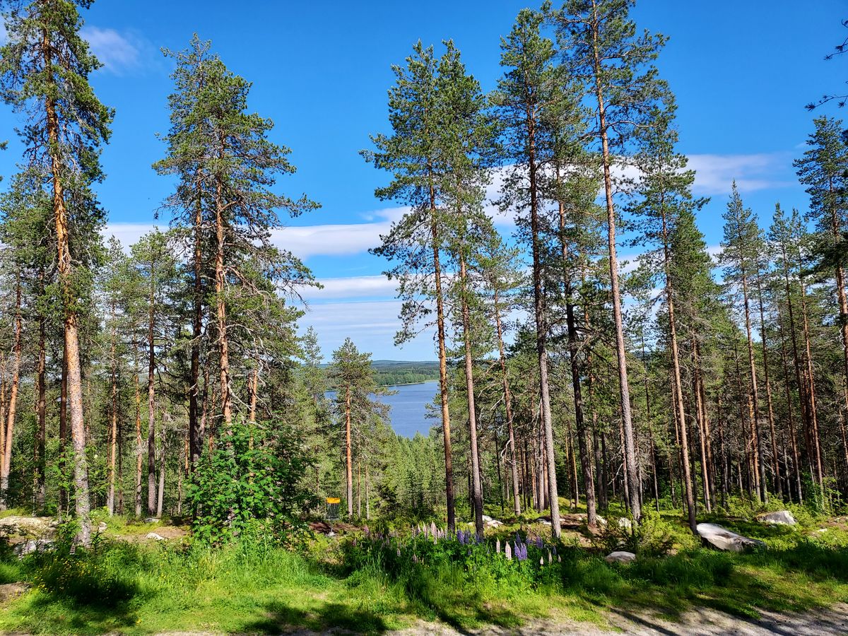 Järvinäköala väylällä 14