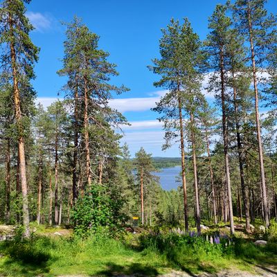 Järvinäköala väylällä 14
