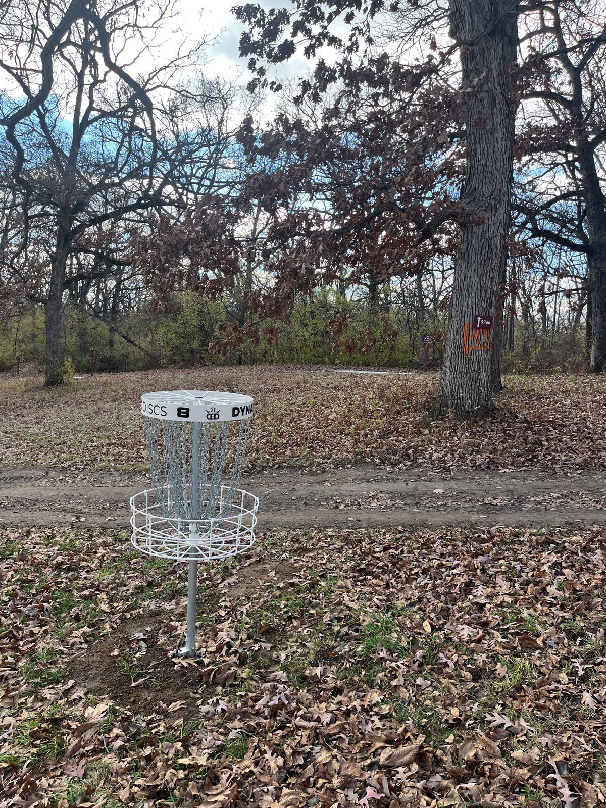 Hole 8 Basket