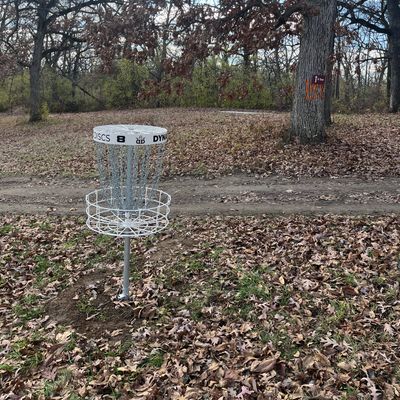Hole 8 Basket