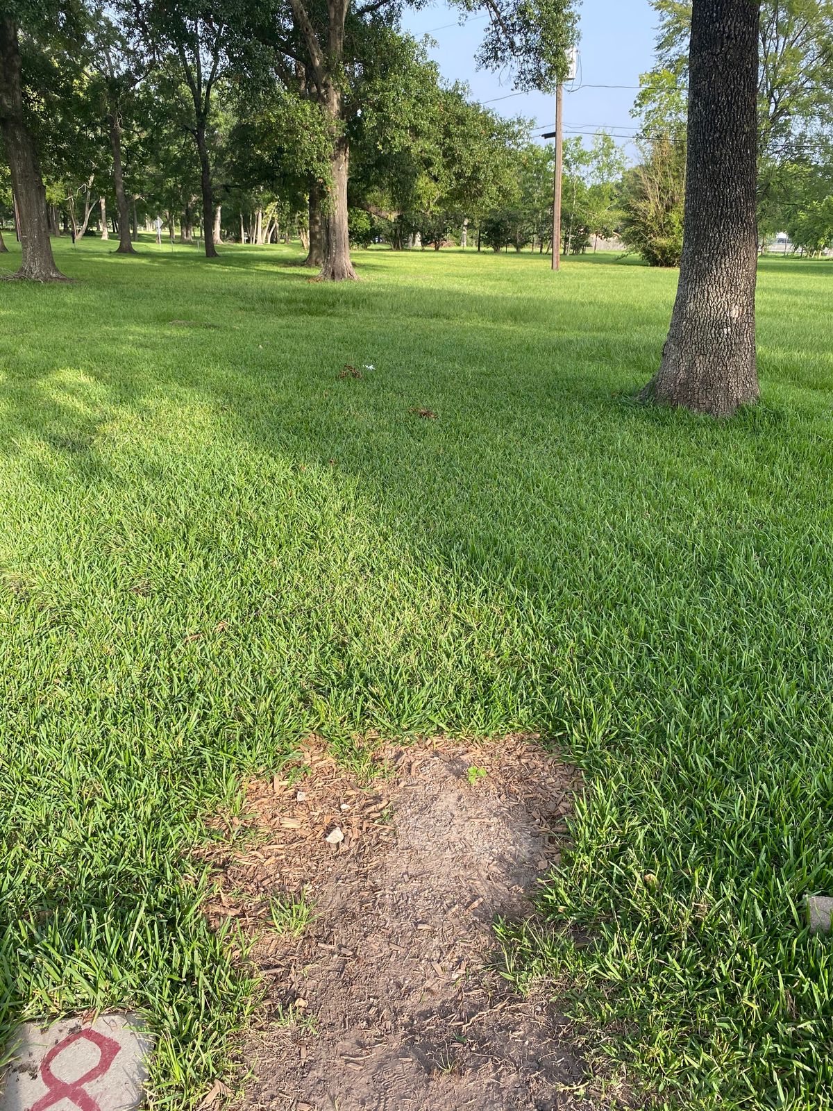 Hole 8