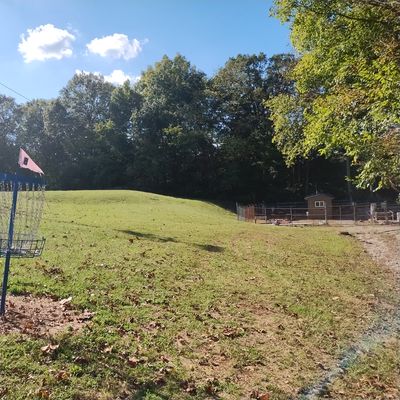 Basket 8 view to tee pad uphill. Water treatment site OB on right. Woods and beyond right