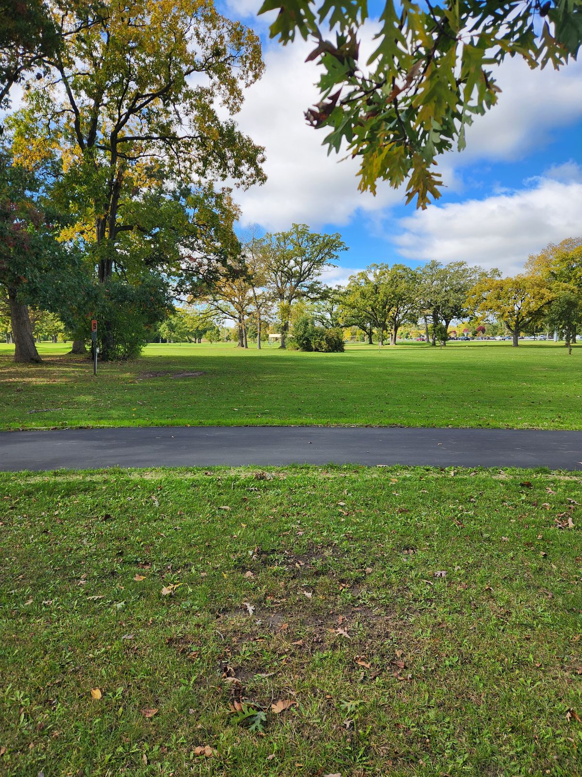 Hole 5 long tee