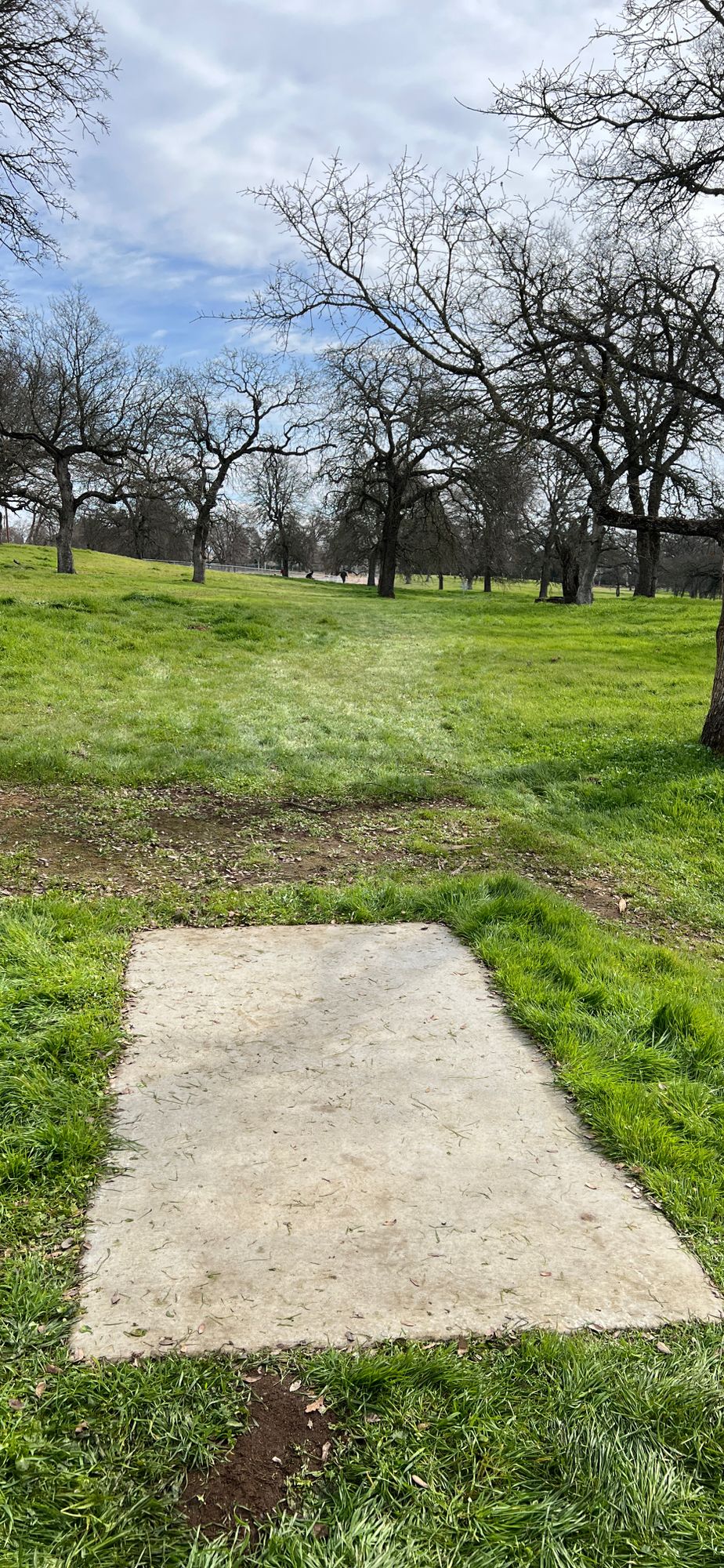 Hole 9