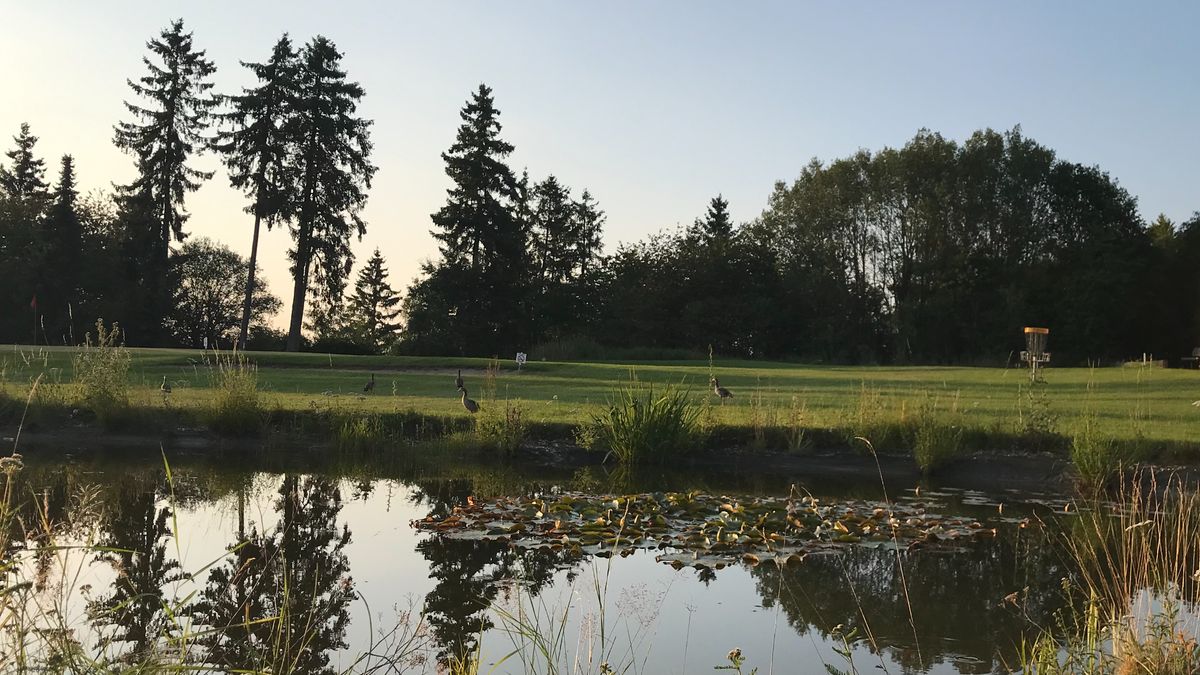 Lovely day, amazing course. Worth the trip.
