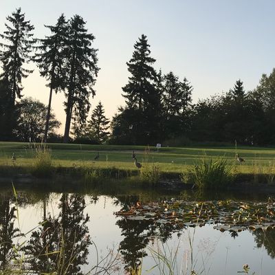 Lovely day, amazing course. Worth the trip.