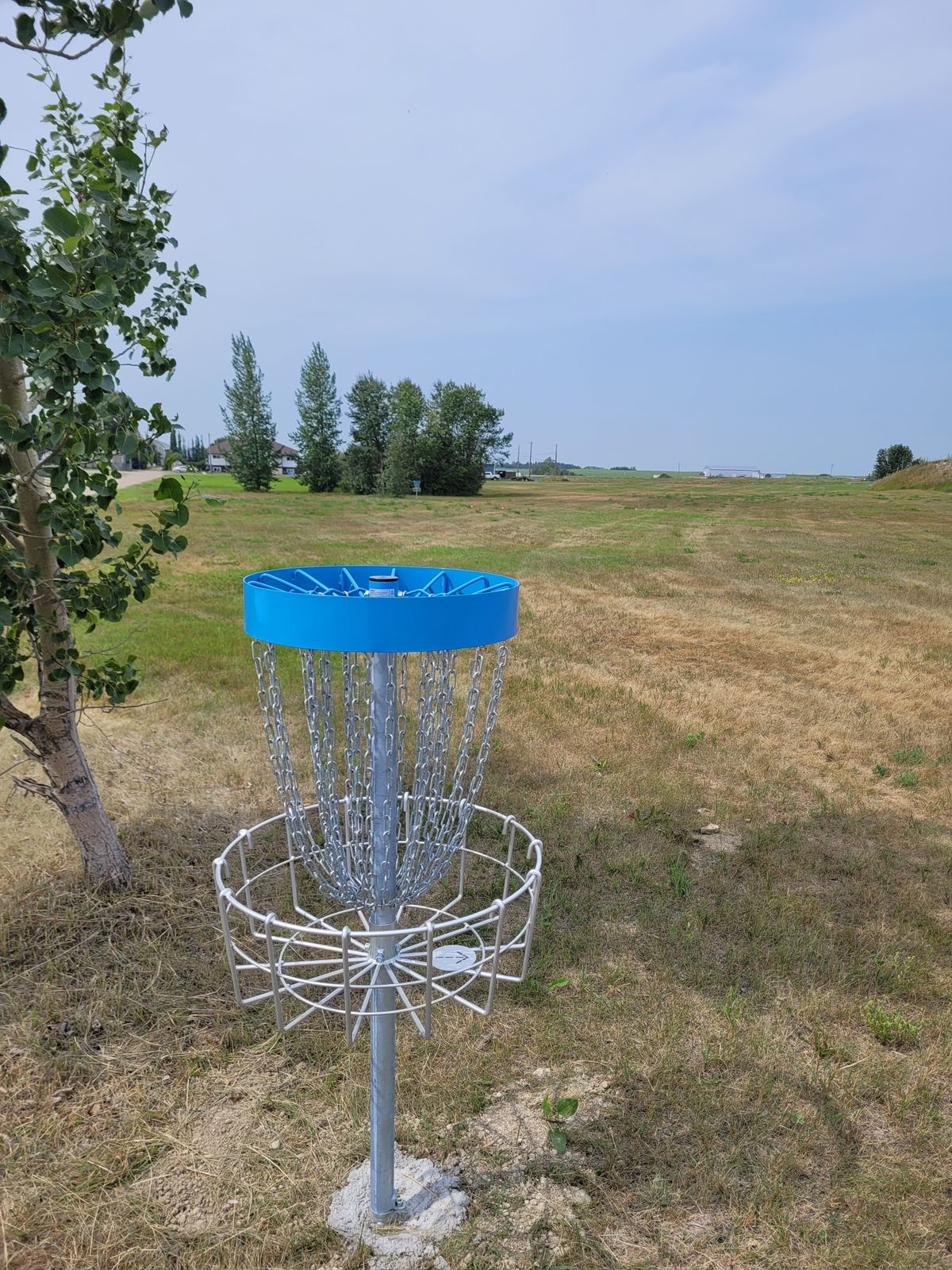 Basket #8