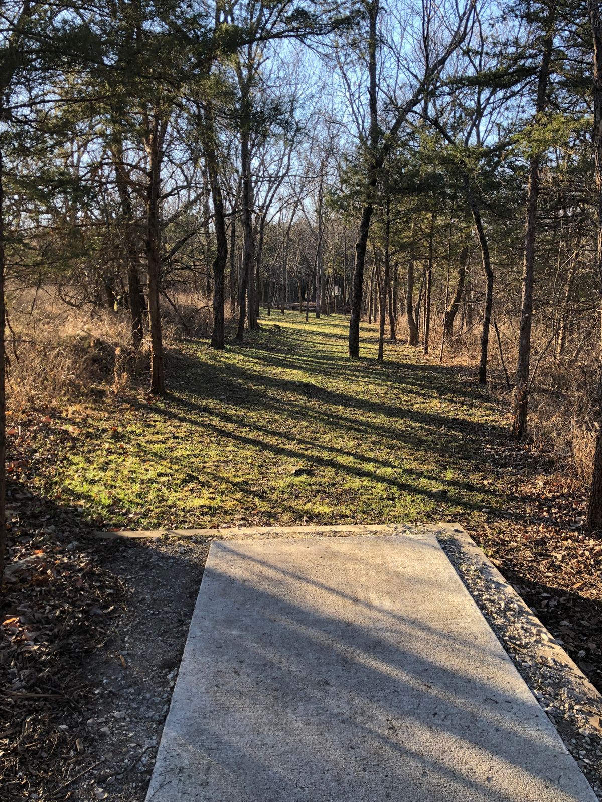 Hole 5