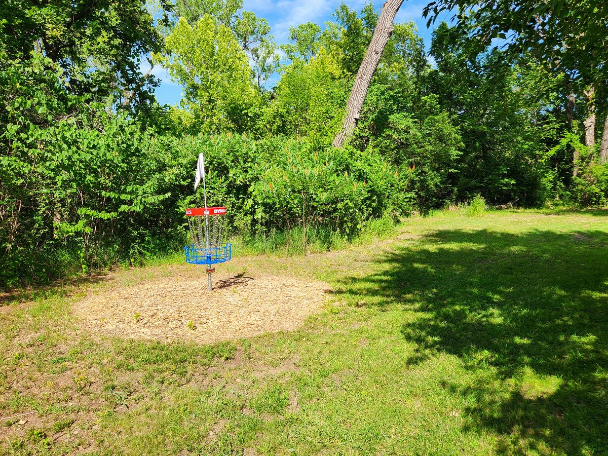 Hole 5: Knockwood green