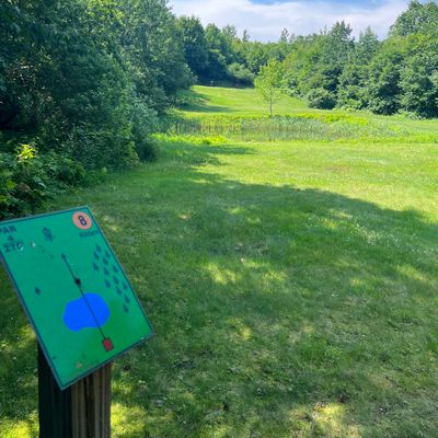 Small pond on 8 to throw over