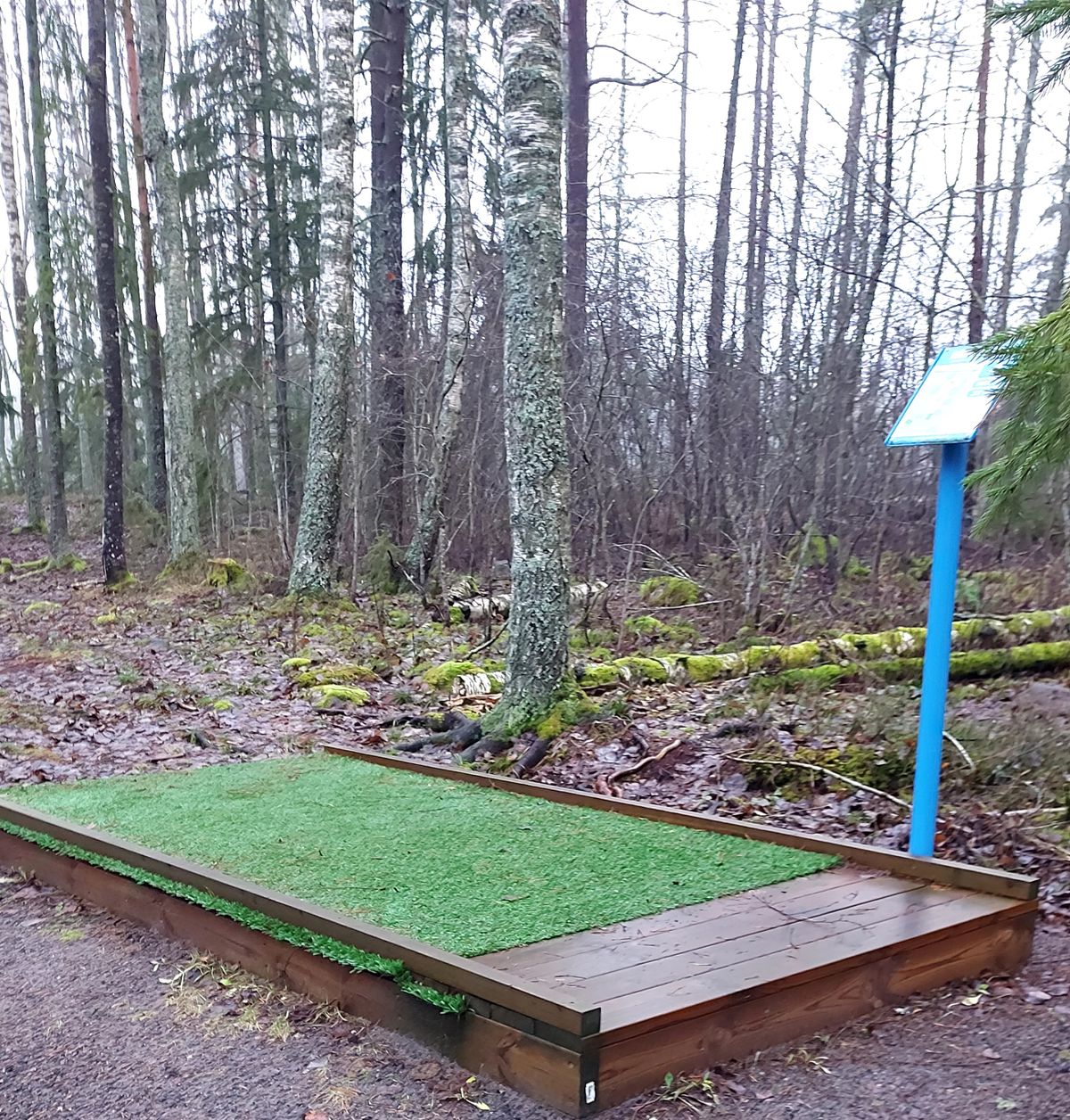 Hole 4