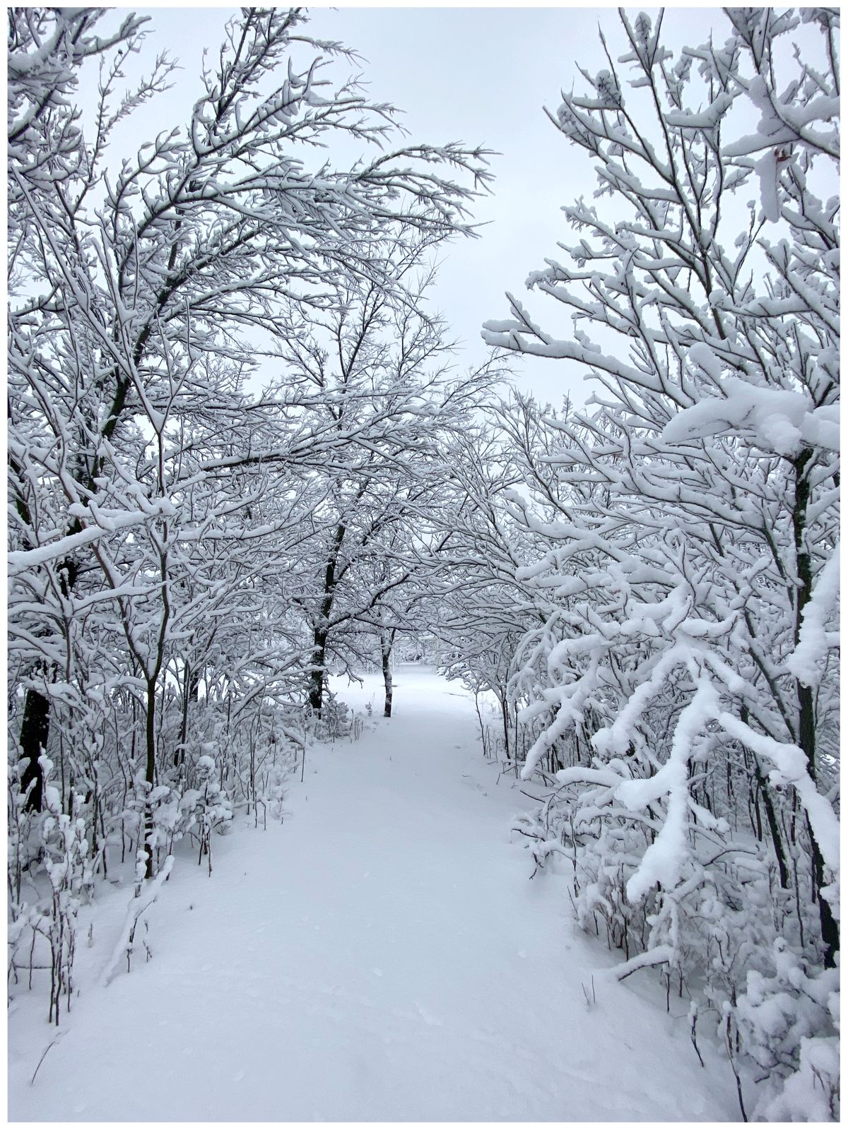 Path to #18