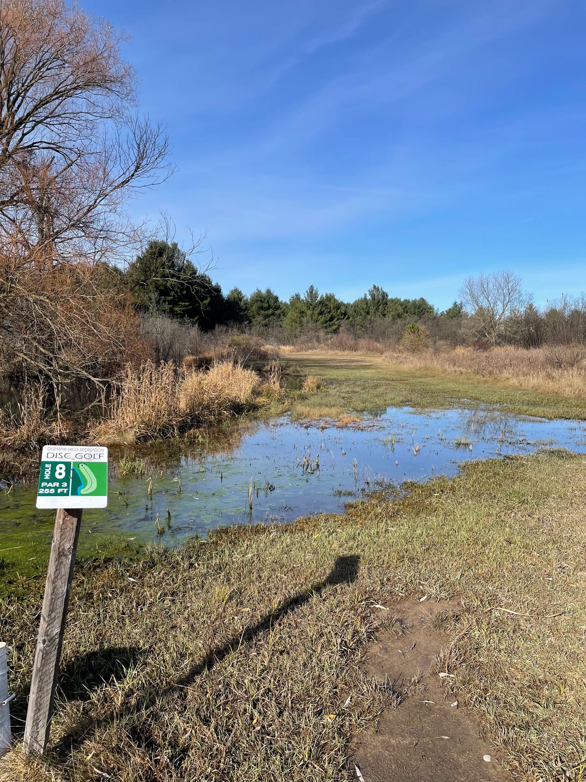 Hole 8
