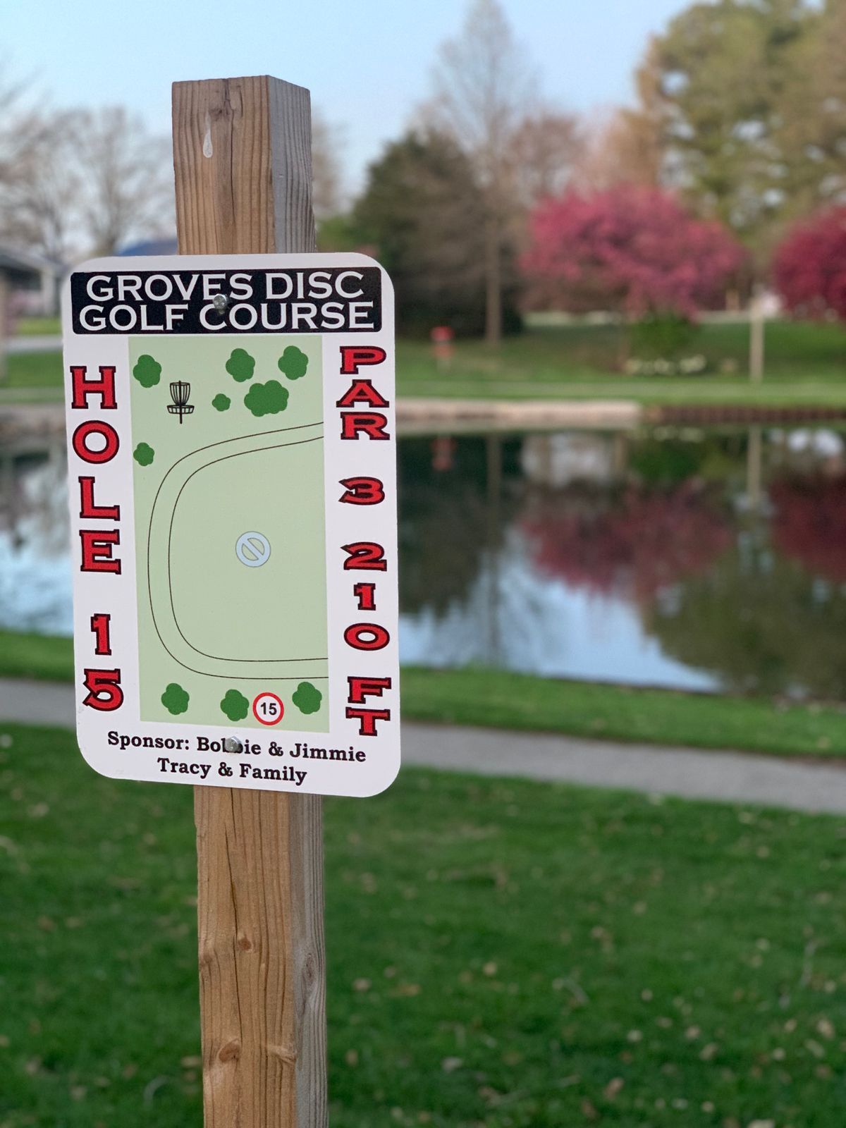 Hole 15 showing the water carry to the basket.