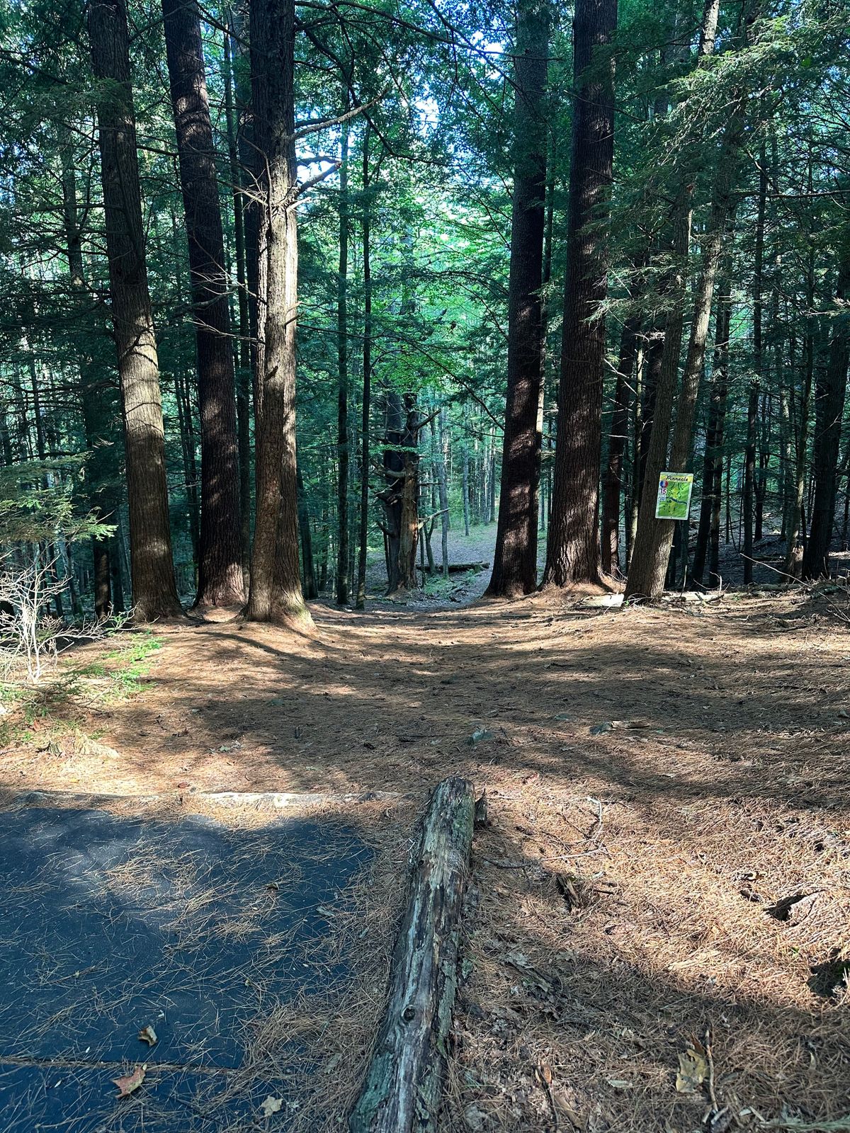 Tee pad 15
