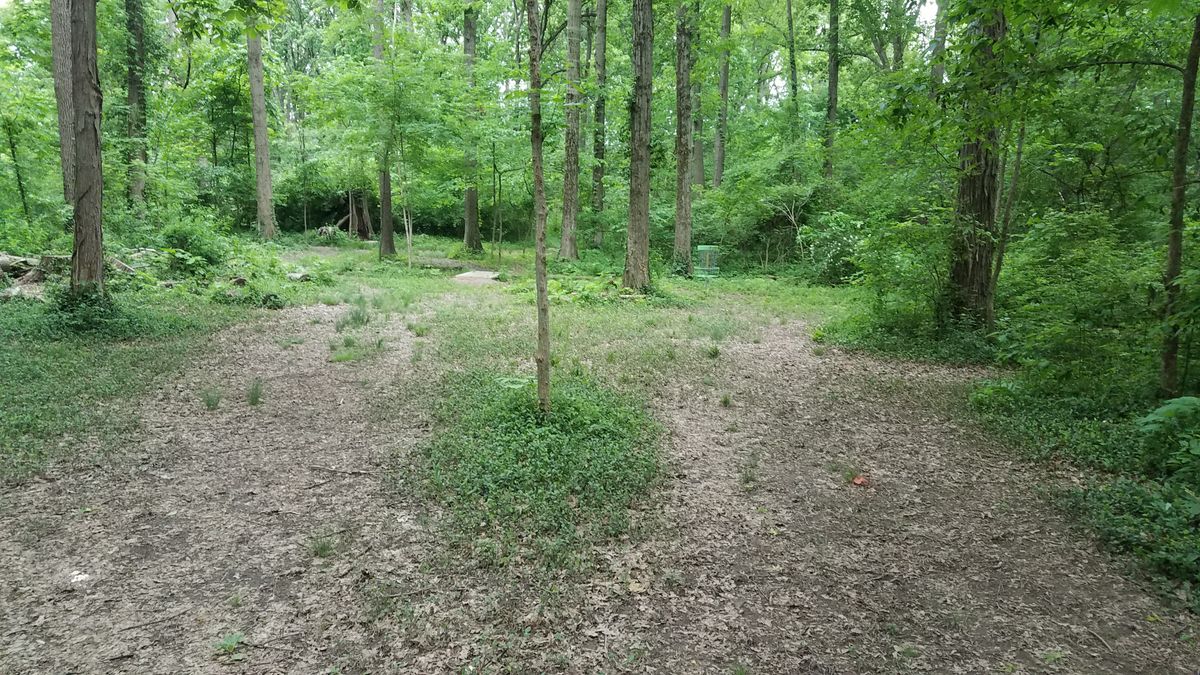 Looking toward #7 greens. Just after dogleg