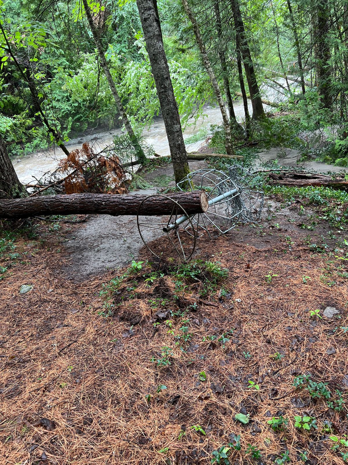 Hole 2 speared by a tree launched by flood waters