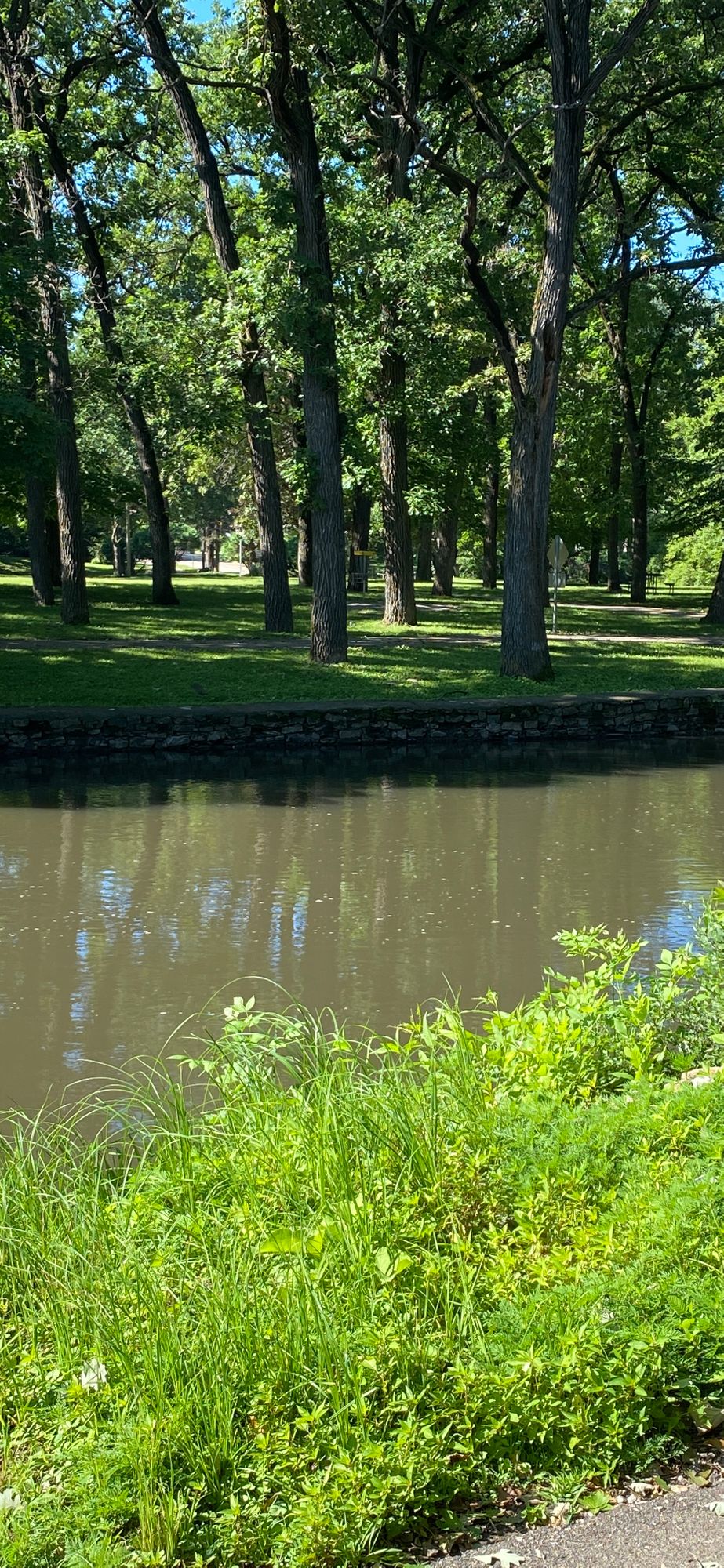 Hole 5 throws over water