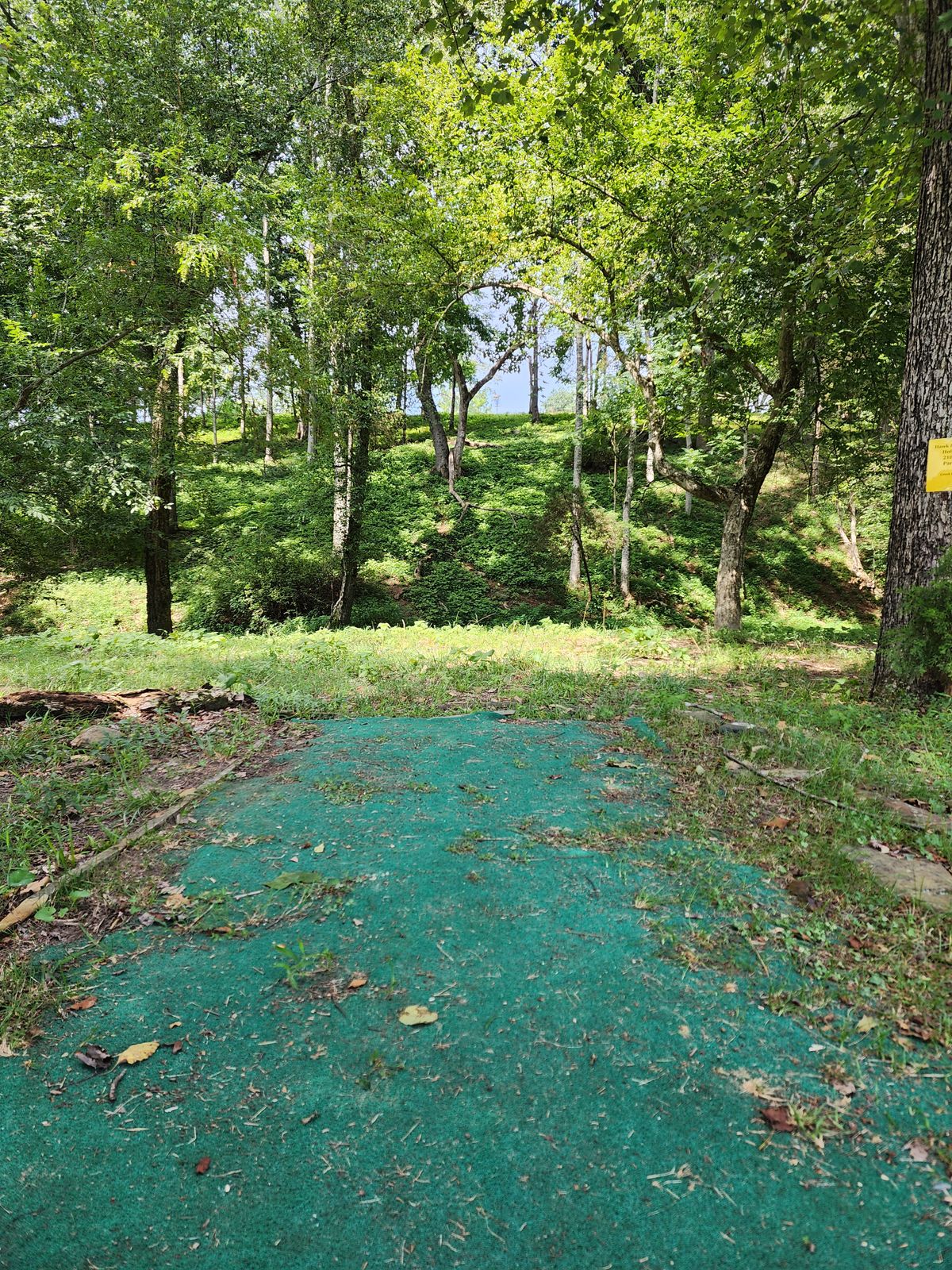 Hole 8