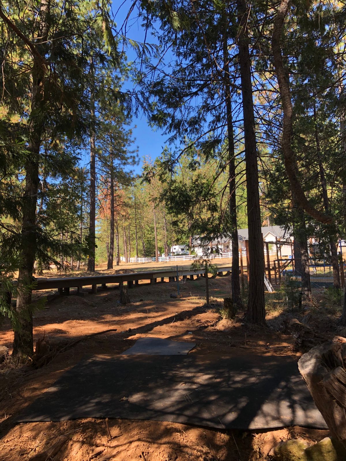 Tee 14