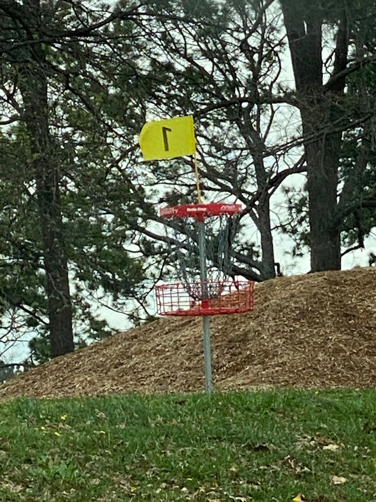 Hole 1 (with updated flags, new baskets, and start signs)