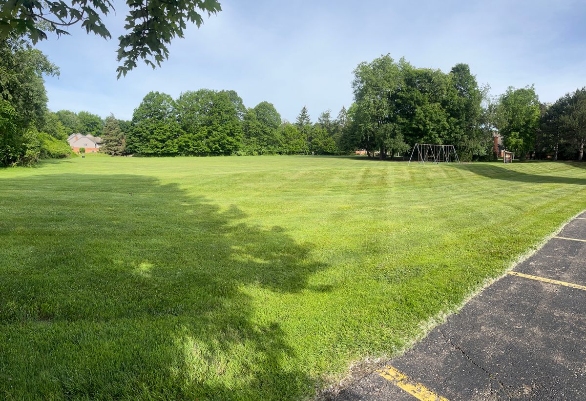 Very open field course
