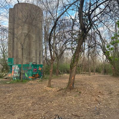 Hole 8 tee