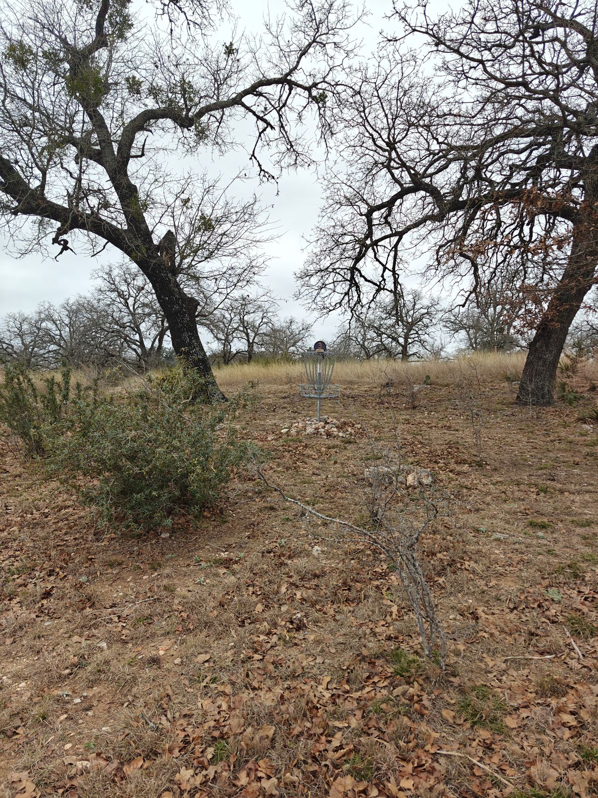 Hole 3 basket